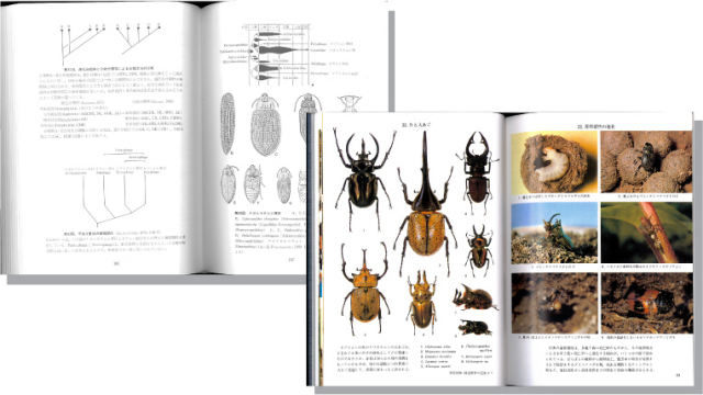 原色日本甲虫図鑑 1 保育社